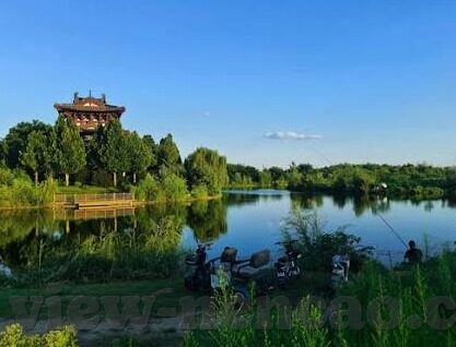 成人爽成人爽上片免费视频下载-成人爽，探索成人视频的合法与伦理边界