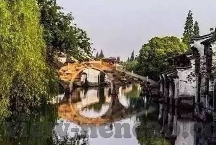 大象传媒安全吗-大象传媒，安全性的深度剖析